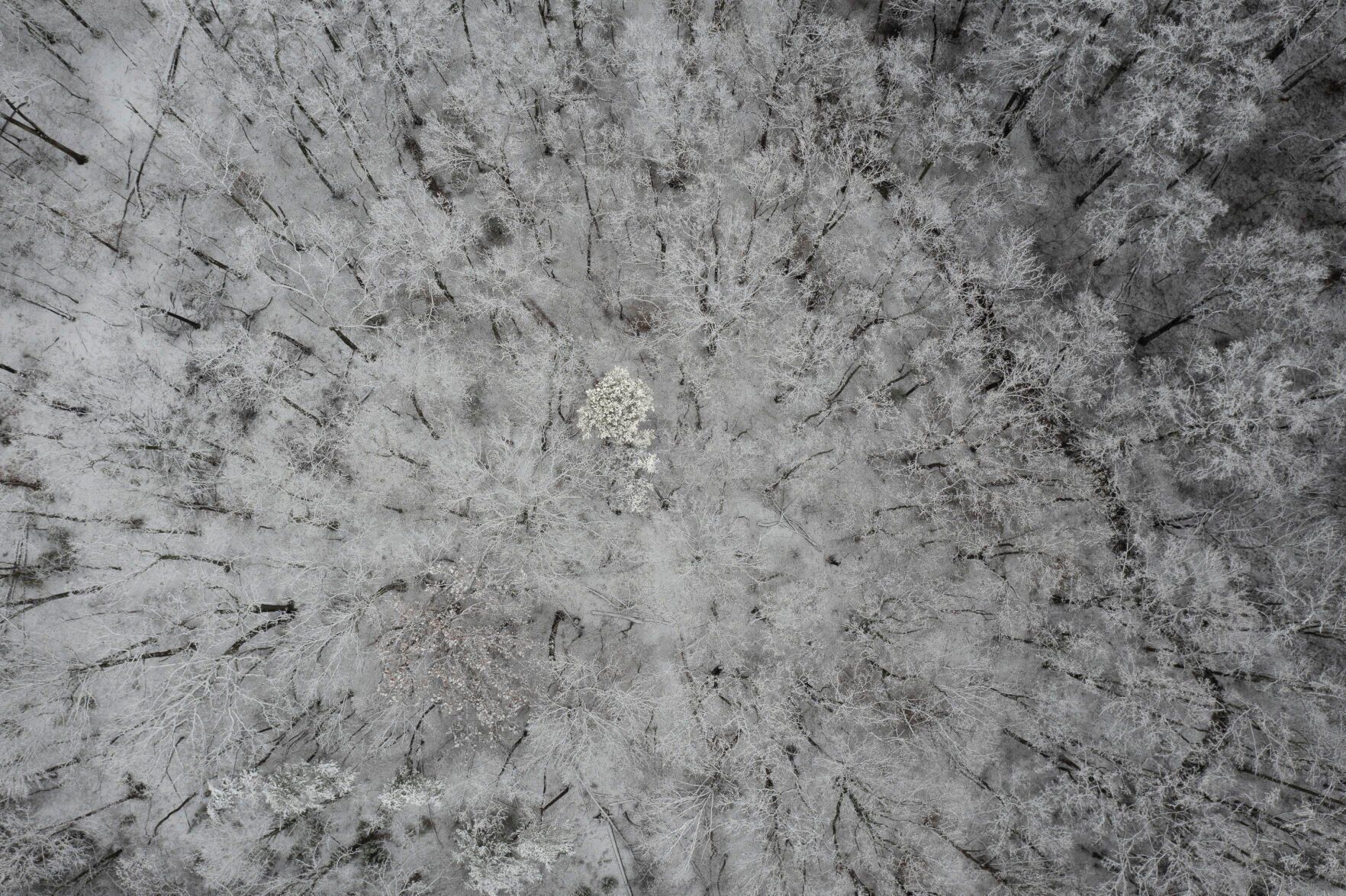 01032022 DH SalemSnow p02
